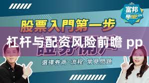 杠杆与配资风险前瞻 pp